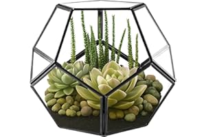 Toemics Small Geometric Terrarium Planter Little Plant Container Glass Moss Plant Pot for Succulent, Cacti, Air Plants Indoor Home Garden Tabletop Decor, Black