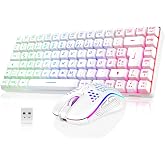 RedThunder 75% Wireless Gaming Keyboard, RGB Backlit, 3200 dpi Lightweight Cellular Mouse, Ultra-Compact 85 Keys Anti-ghostin