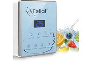 FELLAT Générateur d'ozone, Purificateur d'Air pour 5-30 ㎡, Machine à ozone avec 6 modes pour l'eau et l'air, Nettoie les fruits, les légumes et les viandes, élimine les odeurs