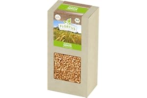‎FLORTUS FREUDE AN VIELFALT FLORTUS BIO Gerste Getreide Samen 200g | Alte Sorten Urgetreide zur Herstellung von Gerstengras Graupen Müsli Katzengras & Microgreens