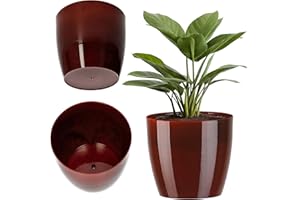 KADAX Macetero, Maceta Redonda de plástico, Maceta para Cactus, helechos, Maceta Brillante para balcón, apartamento y terraza (18 cm, Rojo)