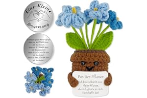 Tixlux Pocket Hug Positive Pflanze, Kreative Strickwolle Pflanze Puppe und Kleine Umarmung Glücksbringer, Mutmacher Geschenk, Schulabschluss Geschenk, Abschiedsgeschenk (Vergissmeinnicht Blau)
