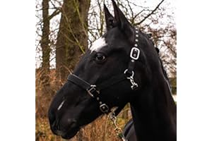 Pferdelinis Cavezza per sangue caldo, purosangue, sangue freddo, pony – cavezza per stalla, cavezza per pascoli, fibbie regolabili in 2 posizioni, sicure e antistrappo (nero, purosangue (Cob)