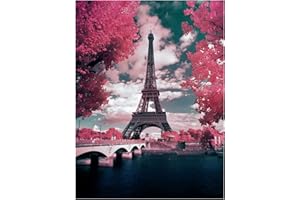 DRAGONX2 Set Pittura Diamante 5d Torre Eiffel 5d Torre Eiffel Diamond Painting Pittura Diamante 5d Pieno Fai Di Cristallo Strass Ricamo Immagini Artigianato Artistico Per Decorazione Parete Di Casa(30x40 Cm)