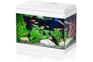 AQPET Acquario in Vetro per Pesci Tropicali Completo di Accessori Filtro Luce Simply, 30 39x22x30 cm 30 Litri, Bianco
