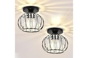 HAUSPRO Industrial Ceiling Light Fixtures Pack of 2, Modern Metal Cage Flush Mount Fixtures for Warm Ambient Lighting in Kitchen, Hallway, Bedroom-Black