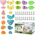 KASTWAVE Rock Climbing Holds for Kids, 20 PCS Climbing Rocks for Playset, Tree Climbing Holds, Adult Rock Wall Holds with Mounting Hardware for Indoor Outdoor Rock Climbing Wall, Bright Color