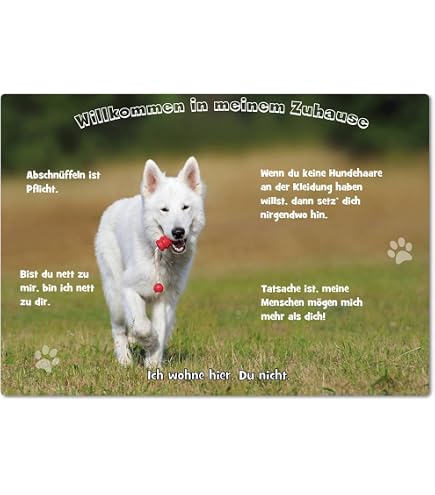 AdriLeo Warnschild 'Vorsicht Bullterrier' – Robustes Aluminiumschild Für Garten & Haus