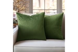 Slozzi Set med 2 sammet kuddar, hushåll, prydnadskuddar, dekorativa kuddar, mjuka soffkuddar för soffa, sovrum, vardagsrum, 50 x 50 cm, Matcha