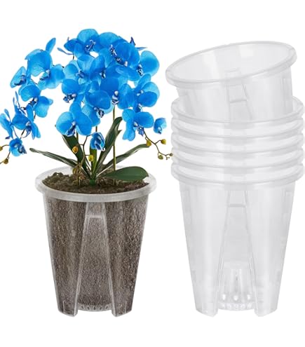 Vasi Per Orchidee Trasparenti Vaso Trasparente Per Orchidea - 12,7 Cm X 15 H Vasi Trasparenti Per Orchidee