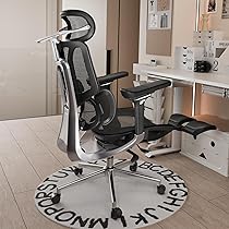 Sedia Ergonomica Ufficio Hbada E3 Pro - Supporto Lombare 3D, Poggiatesta 4D, Braccioli 6D, Nero - Foto 8