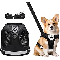 Pettorina E Guinzaglio Per Cani Piccoli - Riflettente E Regolabile - Taglia XS (24-27cm) - Per Cuccioli E Gatti - Foto 7