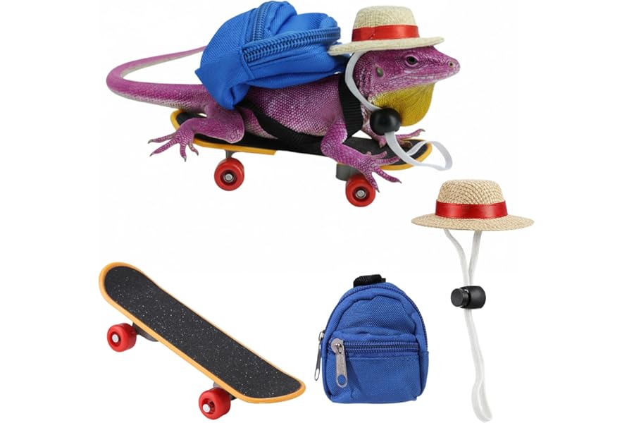 3 Pieces Bearded Dragon Accessories Set, Reptile Accessories for Climbing and Carrying, Adjustable Bearded Dragon Costume Clothes, Animal Backpack Hat Skateboard Combo