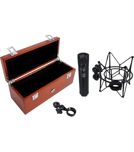 WARM AUDIO WA-251＋ハードケース Warm Audio WA-251 Tube Condenser Microphone : Amazon.in: Musical