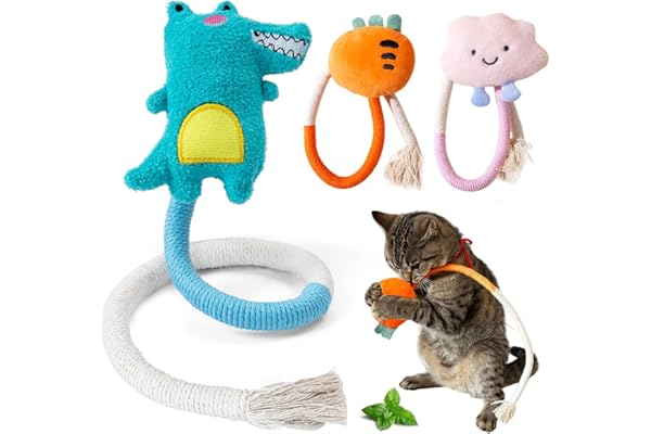 winbarry Jouet Chat, Jouet de Dentition Chaton, Jouet Herbe a Chat, Jouet a Macher Chat, Jouets de Soins Dentaires pour Chats, pour Interagir Et Nettoyer Les Dents