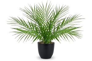 ‎OAIRSE Oairse 40,6cm Kunstpflanze im Topf Künstliche Palme Deko Modern Kunstpalme Kunstpflanzen Kunststoff Pflanzendeko für Wohnzimmer Balkon Schlafzimmer Badezimmer Zimmer Tischdeko,Schwarz