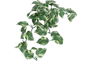 CIKONIELF Lasy deszczowe Rośliny Terrarium Jaszczurka Habitat Decor Akcesoria Gad winorośli Sztuczne sztuczne liście Terrarium Habitat Decor dla kameleona, jaszczurki, gekona, węża, iguany