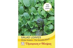 Thompson & Morgan - Vegetables - Salad Leaves - Winter Greens The Good Life Mixed - 125 Seed