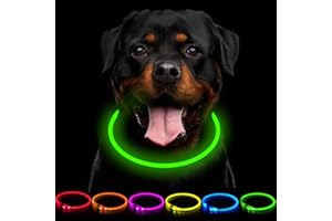 CCWW LED Leuchthalsband Hunde Halsband USB wiederaufladbar - Längenverstellbarer Haustier Sicherheit Kragen für Hunde und Katzen- 3 Modus