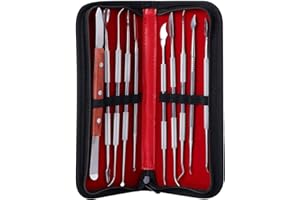 Coolty 10 Stück Wachsschnitzer Werkzeuge, doppelendiges Edelstahl-Wachs Ton Skulptur Schnitz DIY Werkzeugset, Spatel MeißeSchnitzer Set für Sculpting,Keramik Schnitzen mit Tragetasche