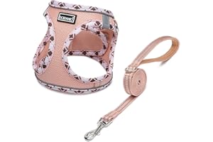 DORAMIO Pettorina Cane Taglia Piccola, Step-in Pettorina per Cani Gatti Cuccioli con Guinzaglio Comodo, Riflettente Traspirante Imbracatura Cane Morbida per Passeggiate Corsa (XS, Champagne)