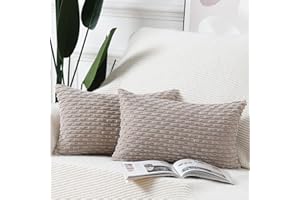 Madizz Lot de 2 Housses de Coussin en Velours côtelé rayé Boho Housse de Coussin décorative Douce pour canapé Chambre à Coucher Brun grisâtre 30 x 50 cm