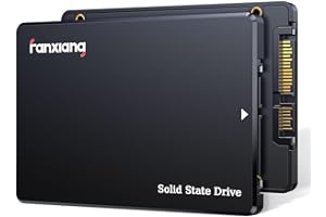 fanxiang 1TB SSD SATA III 6Gb/s, SSD 2,5" 560MB/s di Lettura, Hard Disk SSD Interno, 3D NAND SLC Cache Unità a Stato Solido Interne per Laptop,Desktop,PC(S101Q)