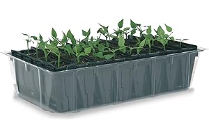 Tierra Garden Haxnicks Anzuchtschalen für Saatgut und Ableger