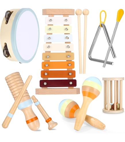 Caja Instrumento Banjo Animambo De Instrumentos Musicales