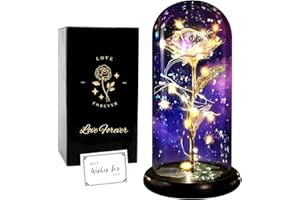 ‎FAYODO FAYODO Die Schöne und das Biest Ewige Rose,Galaxy Rose Geschenk für Freundin