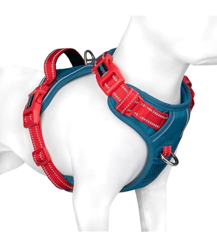 Spark Paws No Pull Hondentuigje voor grote honden, houderdesign met frontclip, Y-harnas voor honden, robuust en duurzaam harnas voor grote en sterke rassen, jaren 90 retro, L