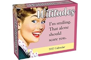 Wititudes 2027 Day-to-Day Calendar: I'm smiling. That alone should scare you.