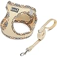 DORAMIO Step-in Dog Harness and Leash Set, Soft Mesh No-Chock Reflective Breathable Easy Walk Lightweight Vest Harnesses with Safety Buckle for Small Medium Dogs, Cats, Puppies (Beige, XS)