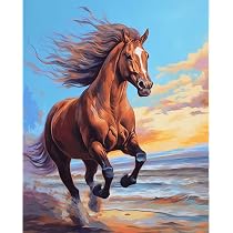 Malen Nach Zahlen Set Für Erwachsene & Kinder – Mit Holzrahmen, Cowboy & Pferd Motiv, 40x50 Cm