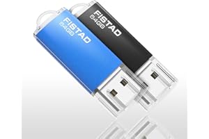 FISTAD 2 Piezas Memoria USB 64GB, Flash Drive 64GB Pen Drive USB 2.0 Memory Stick para PC, Laptop etc