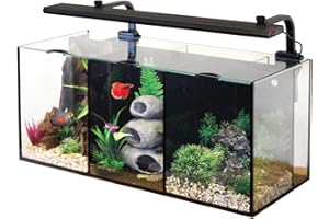 AquaOne 52093 Betta Trio Kit