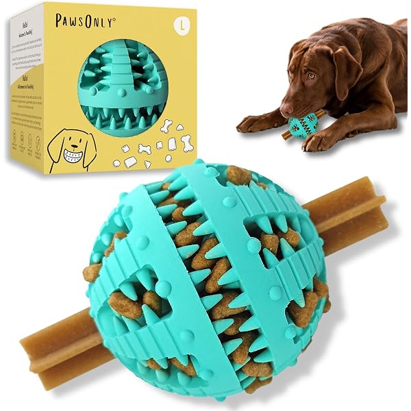 Kauspielzeug Für Große & Mittlere Hunde: Naturkautschuk, Robust & Zahngesund!