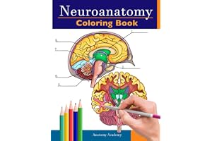 Neuroanatomy Coloring Book: Incredibly Detailed Self-Test Human Brain Coloring Book for Neuroscience | Perfect Gift for Medical School Students, Nurses, Doctors and Adults