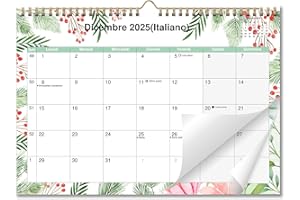 AEYAKA Calendario da parete 2026, calendario mensile da appendere con festività, fasi lunari, 29 x 41 cm, in Italiano