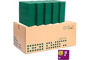 BEKABA 20 Esponjas Florales Naturales con conservante para flor cortada - Caja de 20 Espumas Unidades (1 unidad - 23x11x8) - Herramienta Esencial para Arreglos Florales