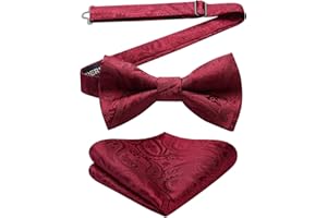 HISDERN Papillon Uomo e fazzoletto - gia annodato e regolabile per festa di nozze