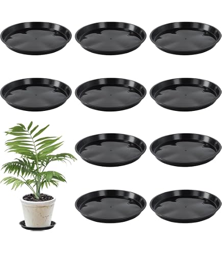 5 Sottovasi Rotondi In Plastica 32 Cm Per Piante - Ideali Per Interni/Esterni - Colore Nero