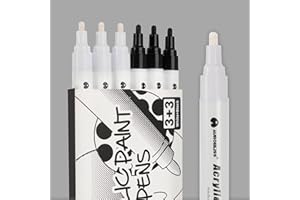 AUROBLISS Marqueur Blanc et Noir 2-3mm, 6 Feutre Blanc Noir Indelebile pour Galets, Metal, Verre, Bois, Tissu Textile Permanent Feutre Acrylique Blanc et Noir