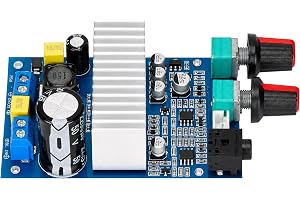 Yosoo Health Gear 100W Digital Amplifier Board Subwoofer Amp Module DC 12-24V Mono Bass Power Amp med Förförstärkare och Bas Crossover för DIY-högtalare