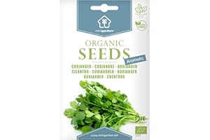 Coriandre, Graines certifiées biologiques prêt à Pousser Minigarden, 100% Naturelles sans Propagateurs Chimiques ni Génie Génétique, inclut entre 240 et 300 graines