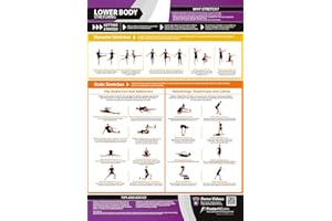 POSTERFIT Lower Body Stretching | Dynamic & Static Stretches | Laminated Home & Gym Poster | FREE Online Video Training Support | Size - 594mm x 420mm (A2) | Improves Personal Fitness & Flexibility