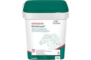 PRIMEVAL Gelatinate Powder - Supports the Musculoskeletal System, Contributes to Flexibility and Joint Function - Supplement Based on Collagen Type I and II, Glucosmin, Chondroitin - 5kg