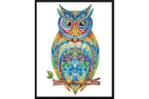 CRAFTiDA Quilling Paper Quilling Kits for Adults Paper Filigree Kit with Paper Quilling Tools and EVA Pattern Board DIY Handmade 40x50cm (Owl)