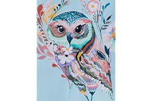 YXQSED Framless Acrylic Paint by Number Kit On Canvas for Adults Kids Beginner - Rainbow Owl 16X20 Inch