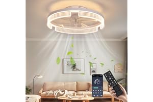 CANEOE Ventilatore da Soffitto con Luce, 50cm Dimmerabile Plafoniera con Ventilatore con Telecomando, Timer, 6- Marce Lampadario con Ventilatore da Soffitto per Soggiorno, Camera da letto (Bianco)
